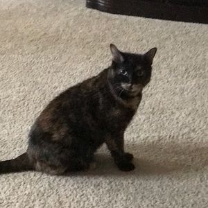 Meet your Posher, Christy